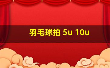 羽毛球拍 5u 10u